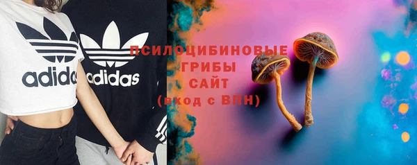 марки nbome Горняк