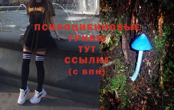 таблы Горно-Алтайск
